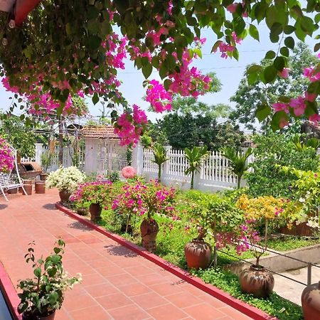 Nha Xanh Homestay Ninh Binh Luaran gambar
