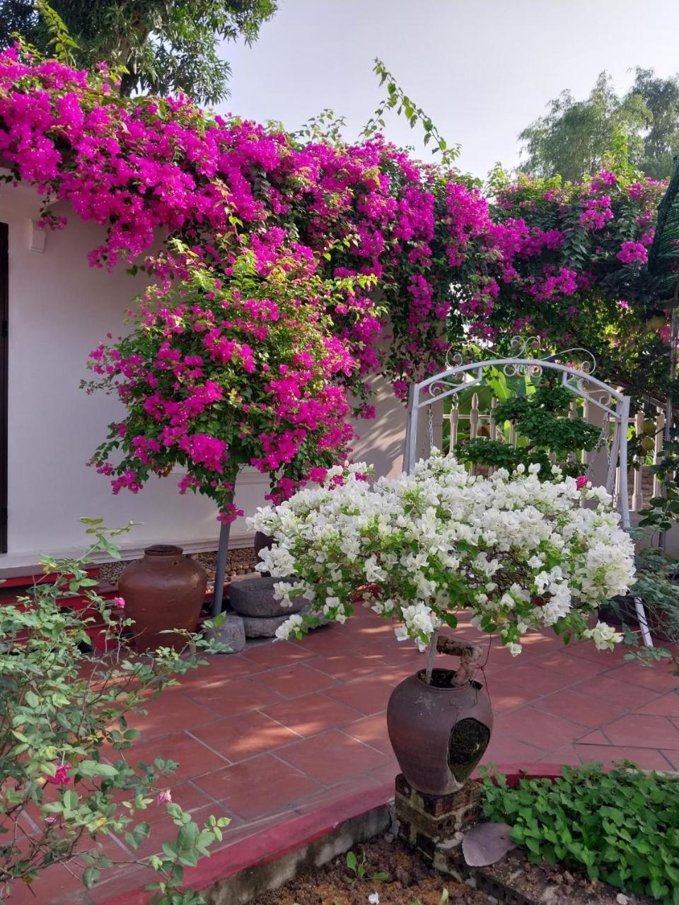 Nha Xanh Homestay Ninh Binh Luaran gambar