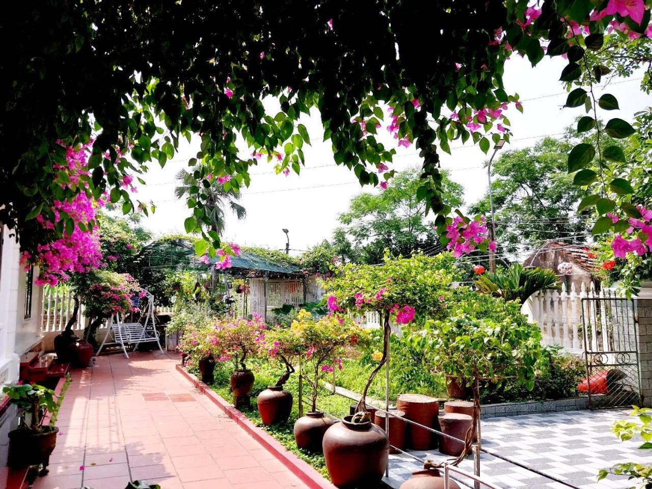 Nha Xanh Homestay Ninh Binh Luaran gambar